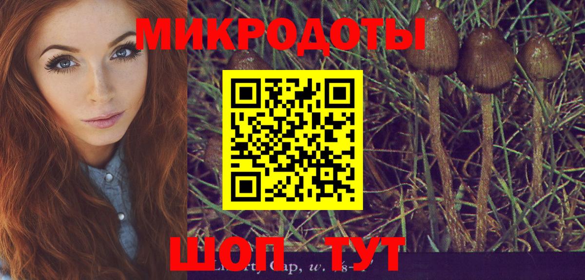 Галлюциногенные грибы прущие грибы  Вход с VPN  продажа наркотиков  Волгоград 